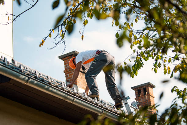 Best Storm Damage Roof Repair  in Hampshire, IL