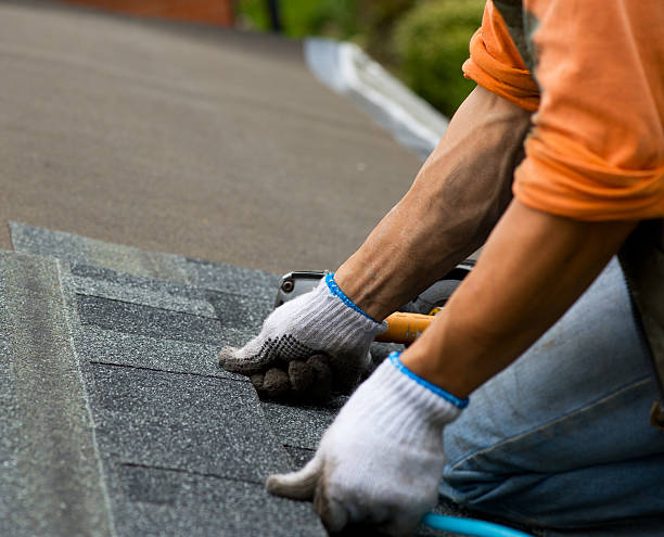 Best Roof Gutter Cleaning  in Hampshire, IL