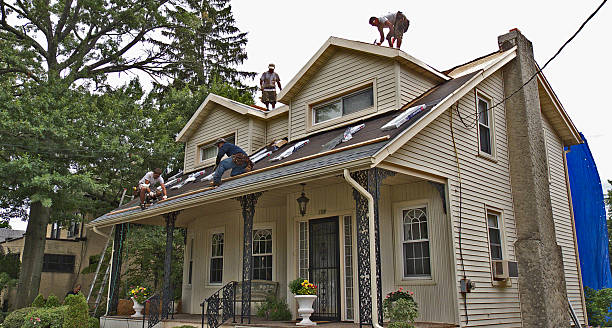 Best Residential Roofing Contractor  in Hampshire, IL