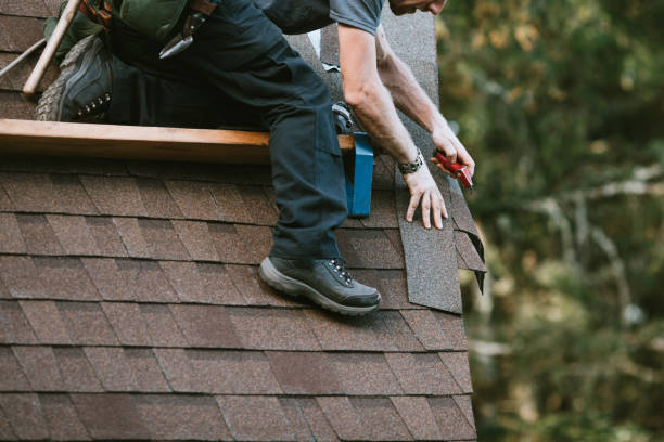 Best Roof Maintenance Services  in Hampshire, IL